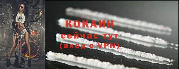 прущие грибы Абдулино