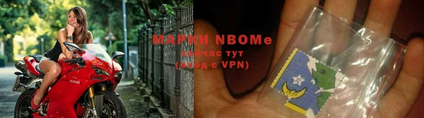 молекула духа Новозыбков