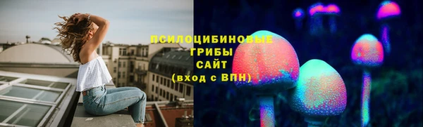 молекула духа Новозыбков