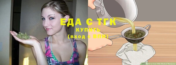 молекула духа Новозыбков