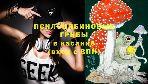 прущие грибы Абдулино