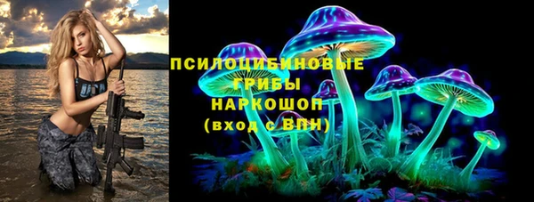 молекула духа Новозыбков