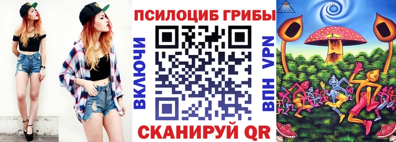 Галлюциногенные грибы мухоморы  где купить наркоту  Шилка 